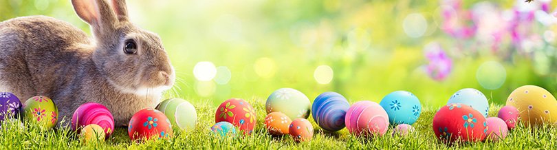 easter free coupons